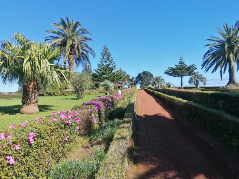 Nordeste, valor de carrinha (8 lugares)
